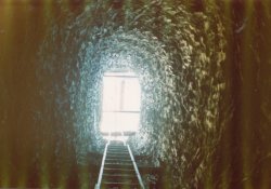 Looking up a 30' shaft.